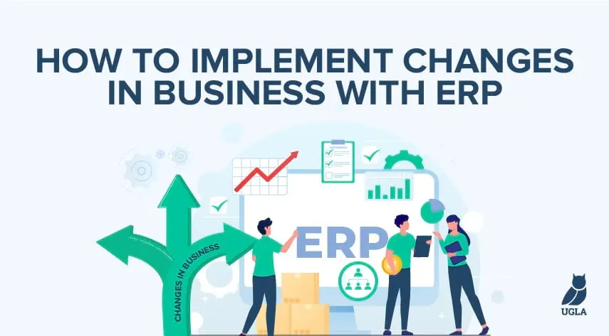 How to implement changes in business with ERP